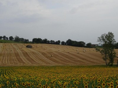 Holiday house Oakwood Hideaway Aufenthalt - Environment photo 23