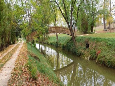 Holiday house Oakwood Hideaway Aufenthalt - Environment photo 24