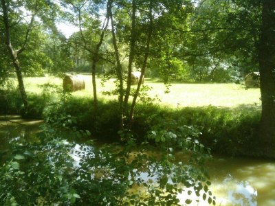 Holiday house Oakwood Hideaway Aufenthalt - Environment photo 25