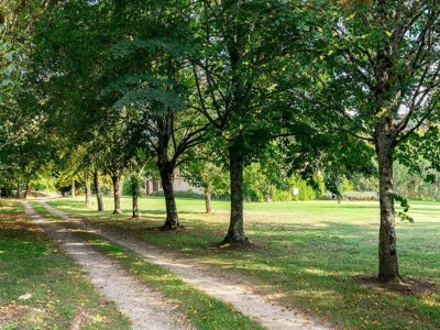 Holiday house Oakwood Hideaway Aufenthalt - Environment photo 26