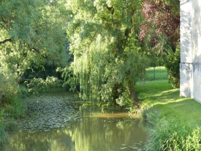 Holiday house Oakwood Hideaway Aufenthalt - Environment photo 27