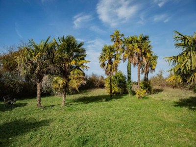 Holiday house Oakwood Hideaway Aufenthalt - Environment photo 28