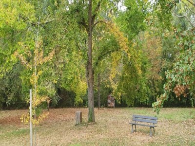 Holiday house Oakwood Hideaway Aufenthalt - Environment photo 29