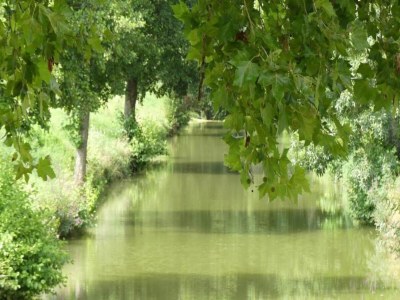 Holiday house Oakwood Hideaway Aufenthalt - Environment photo 30