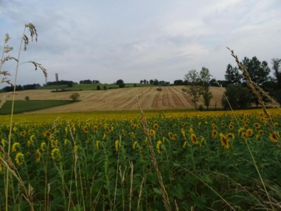 Holiday house Oakwood Hideaway Aufenthalt - Environment photo 32