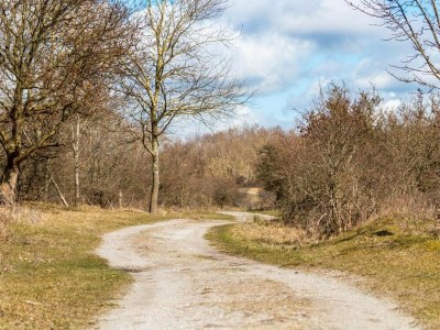 Chalet DD 16 - Camping de Duindoorn - Environment photo 10
