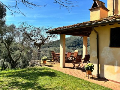 Holiday house Villa in Tuscany with Pool and Olive Grove - Outdoor photo 2