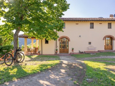 Holiday house Villa in Tuscany with Pool and Olive Grove - Outdoor photo 6