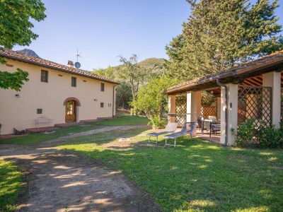 Holiday house Villa in Tuscany with Pool and Olive Grove - Outdoor photo 8