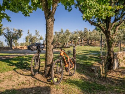 Holiday house Villa in Tuscany with Pool and Olive Grove - Outdoor photo 11