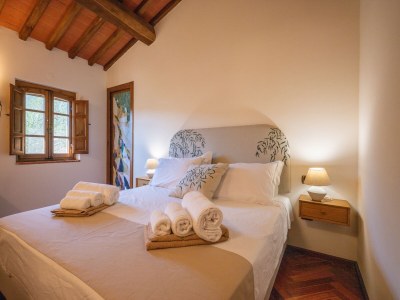 Holiday house Villa in Tuscany with Pool and Olive Grove - Features photo 17