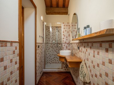 Holiday house Villa in Tuscany with Pool and Olive Grove - Features photo 30