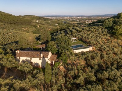 Holiday house Villa in Tuscany with Pool and Olive Grove - Environment photo 33