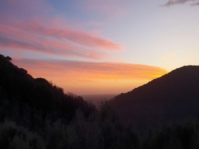 Holiday house Villa in Tuscany with Pool and Olive Grove - Outdoor photo 36