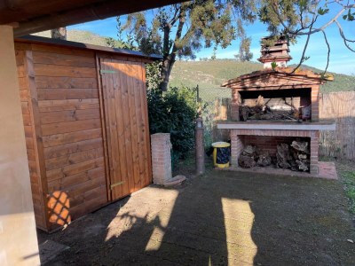 Holiday house Villa in Tuscany with Pool and Olive Grove - Outdoor photo 37