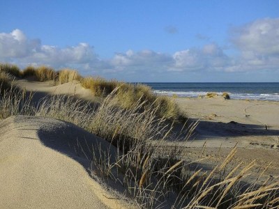 Holiday house Ferienhaus in Domburg am Strand - Environment photo 33