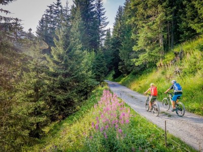 Apartment Alpenlodge Madau - Outdoor photo 10