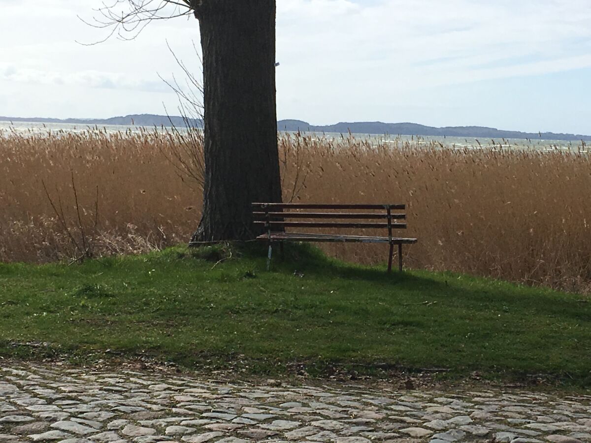 Holiday apartment Polchow - Outdoor photo 5