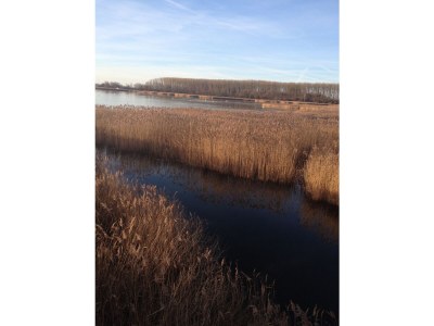 Holiday apartment Polchow - Outdoor photo 8