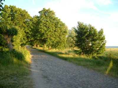 Holiday apartment Polchow - Environment photo 22