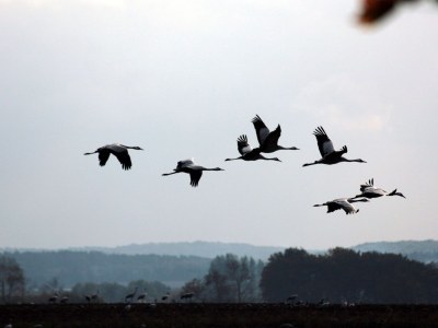 Holiday apartment Polchow - Environment photo 23