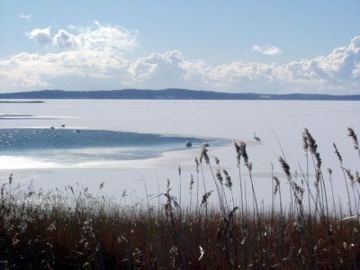 Holiday apartment Polchow - Environment photo 24