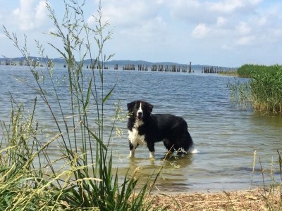 Holiday apartment Polchow - Environment photo 26