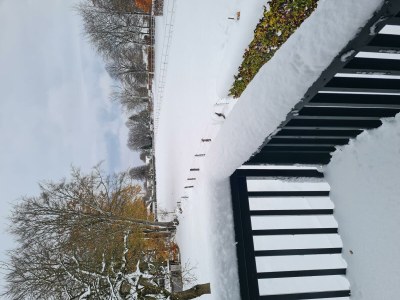 Apartment 4-Bett-Ferienwohnung Braun - Outdoor photo 4