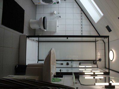 Apartment 4-Bett-Ferienwohnung Braun - Outdoor photo 15