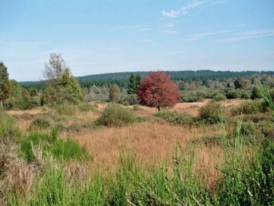 Apartment 4-Bett-Ferienwohnung Braun - Outdoor photo 23