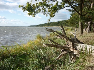 Holiday house Haus Ostseestrand - Environment photo 18