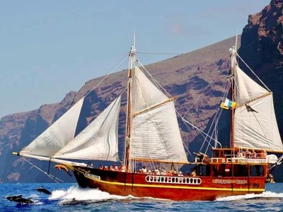 Apartment Apartment for 4 people in Tenerife - Environment photo 33