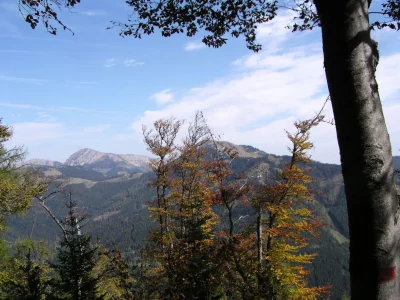 Holiday apartment Bauer - Illmaier - Environment photo 18