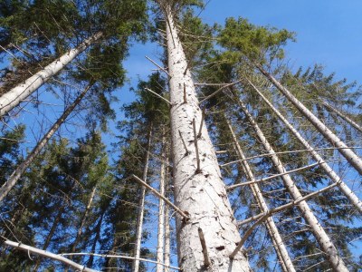 Holiday apartment Bauer - Illmaier - Environment photo 19