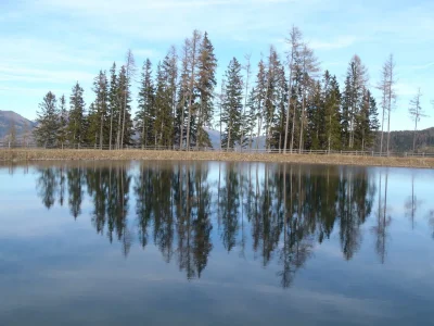 Holiday apartment Bauer - Illmaier - Environment photo 21