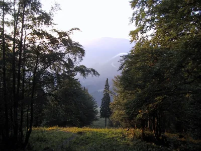 Holiday apartment Bauer - Illmaier - Environment photo 22