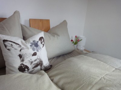 Holiday house BlackForest Lounge Chalet Lindenbuch - Features photo 11