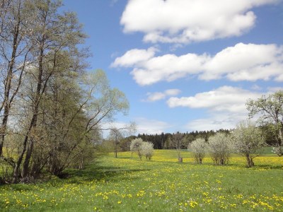 Holiday house BlackForest Lounge Chalet Lindenbuch - Environment photo 17
