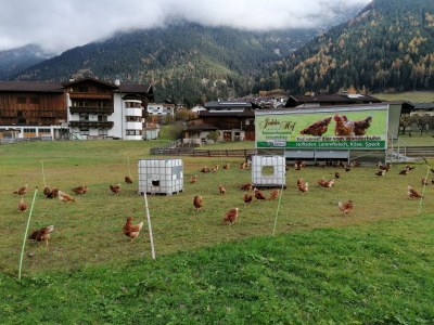 Holiday apartment Ranalter 2 - Outdoor photo 10