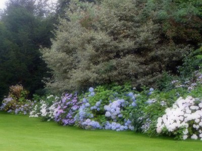 Holiday house Le Clos Normand - Outdoor photo 6