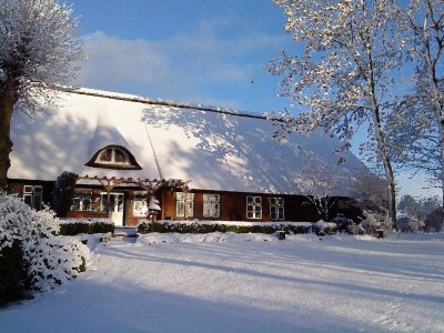 Holiday apartment - Krautsand - Vacation Apartment Nr. 1 - Outdoor photo 3