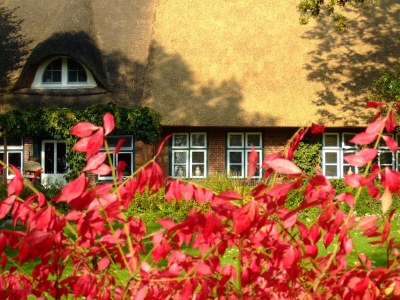 Holiday apartment - Krautsand - Vacation Apartment Nr. 1 - Outdoor photo 12