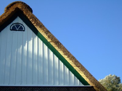 Holiday apartment - Krautsand - Vacation Apartment Nr. 1 - Outdoor photo 13