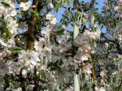 Holiday apartment Kleinlehenhof - Environment photo 16