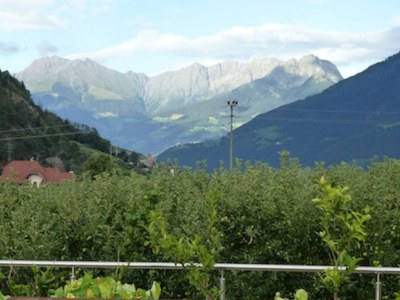 Holiday apartment Kleinlehenhof - Environment photo 18