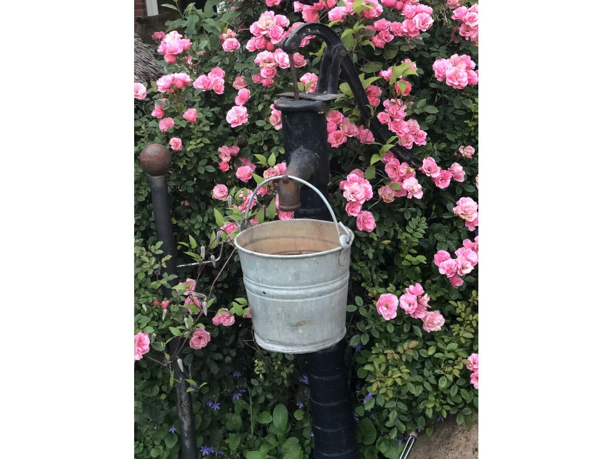 Holiday apartment Norddeich - Outdoor photo 3