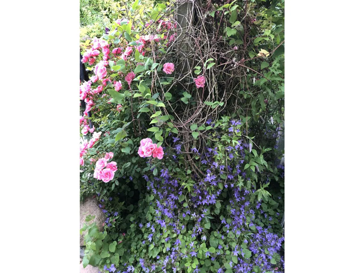 Holiday apartment Norddeich - Outdoor photo 4