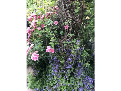 Holiday apartment Norddeich - Outdoor photo 4