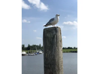 Holiday apartment Norddeich - Environment photo 16