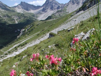 Holiday apartment Zafernblick - Environment photo 17